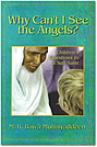 Why Can't I See the Angels?