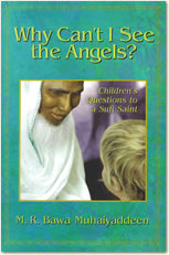 Why Can't I See the Angels?