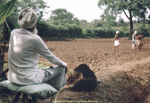 Bawa Muhaiyaddeen at the farm