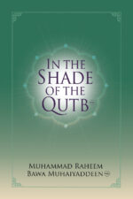 In The Shade of the Qutb