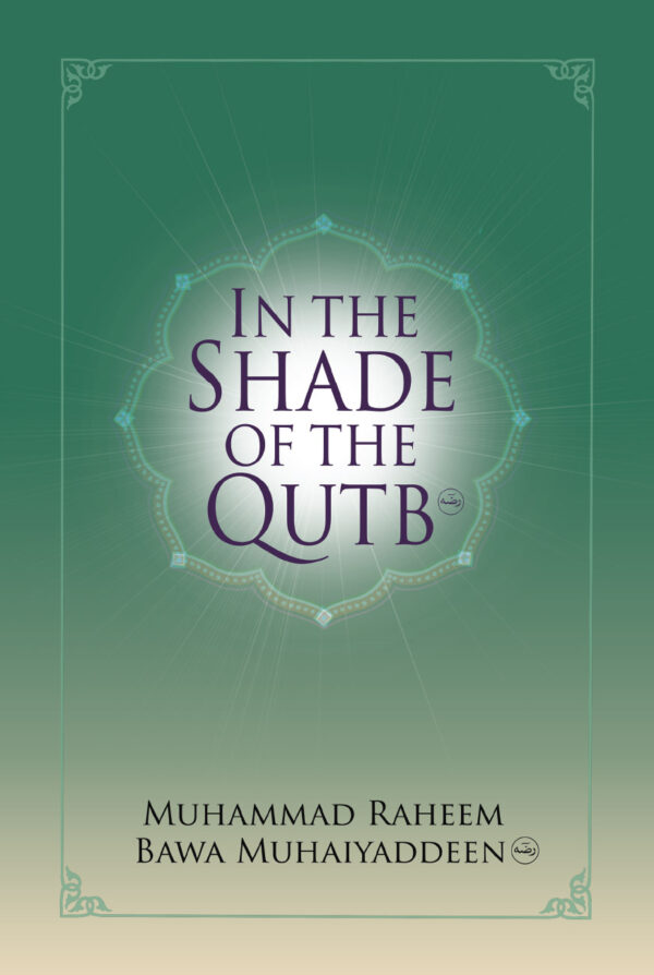 In The Shade of the Qutb