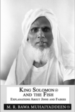 King Solomon and the Fish