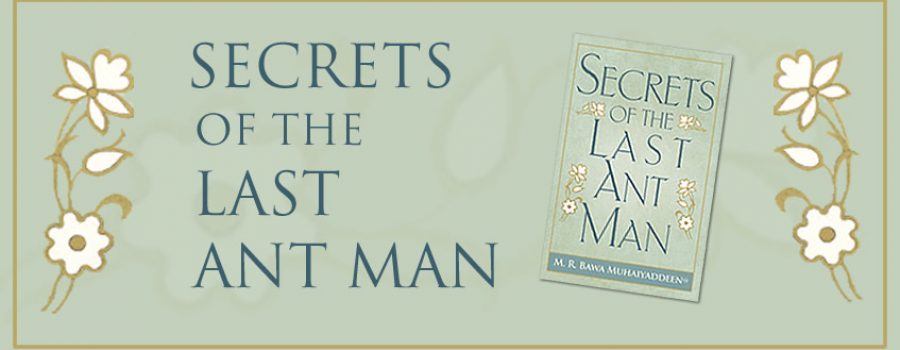 New Book: Secrets of the Last Ant Man